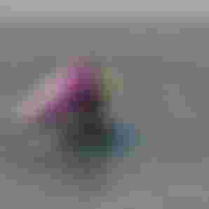 Henning Nockel_Float25_SkybridSLS25_wingfoilshots-20241023-R6M28421