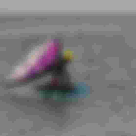 Henning Nockel_Float25_SkybridSLS25_wingfoilshots-20241023-R6M28421