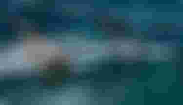 _SA75264