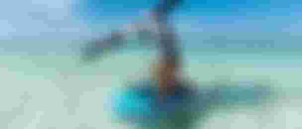 DTF-Duotone-Slick-SkyAir-MariaBehrens-2024-TobyBromwich