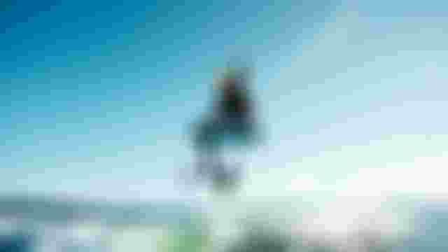 Duotone Foiling & Electrics Wake Foilig