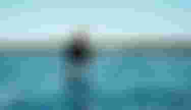 Duotone Foiling & Electrics Pump Foilig