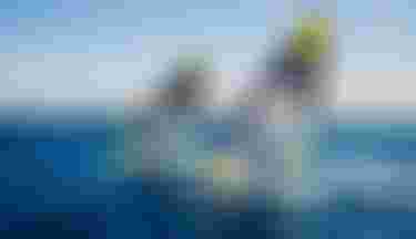 DTW-Duotone-WarpFin-Jordy-Marco-Tenerife