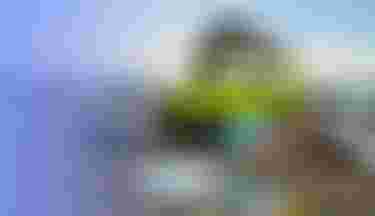 DT_Easter_Campaign_Header_Website_260331_