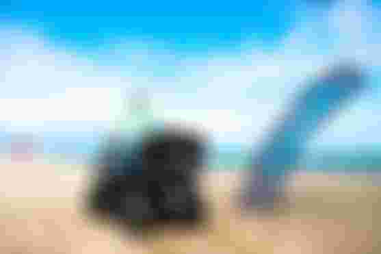 DTWFlagonbeach