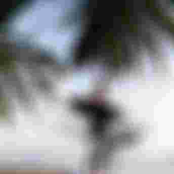 MatahiDrollet_Midfish_Duotone_DTE_Tahiti_by_Thomas_Bevilacqua_243A6704