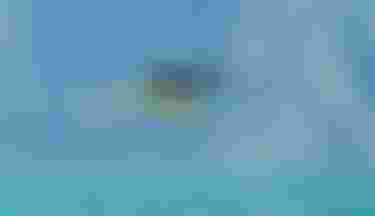 FranzSchlittenbauer_bySimoneGirotti