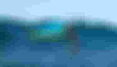 MôChauvin_byTobyBromwich