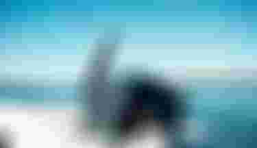 Duotone Foiling & Electrics Wake Foilig