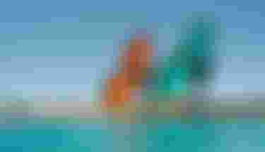 Duotone Foiling & Electrics Wing Foilig