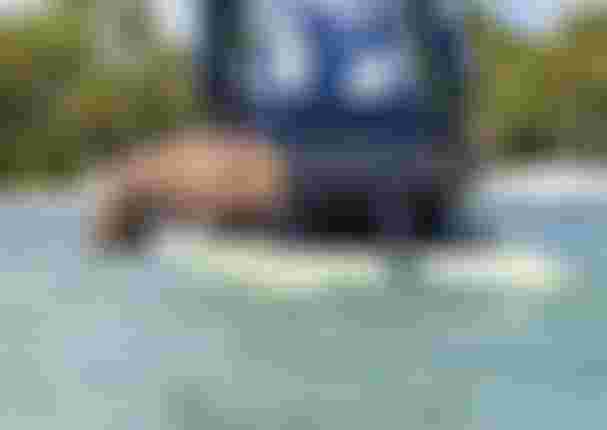 DTE-Duotone-MidfishAir-CruiseAssist-MoChauvin-Guadeloupe-2027-TobyBromwich-3141