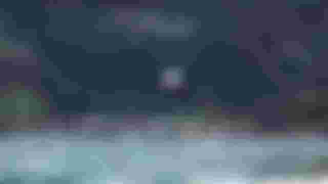 7T8A8670_2
