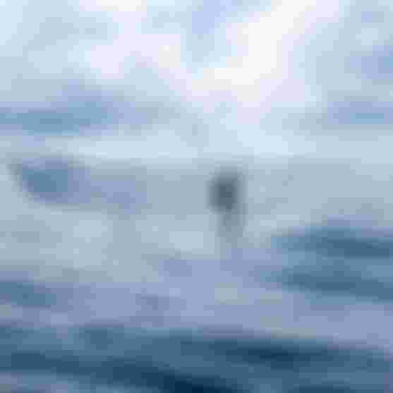 MatahiDrollet_Duotone