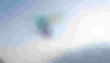 FranzRappolder_byUliRappolder