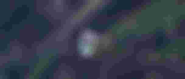 7T8A9192_2