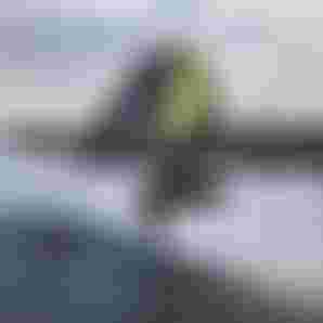 GWA25-Cape Verde -Finn Spencer-Day_02-DJI_20250314202036_0491_D-Lukas_K_Stiller-180