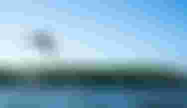 WesleyBrito_byJeanLouisDeHeeckeren