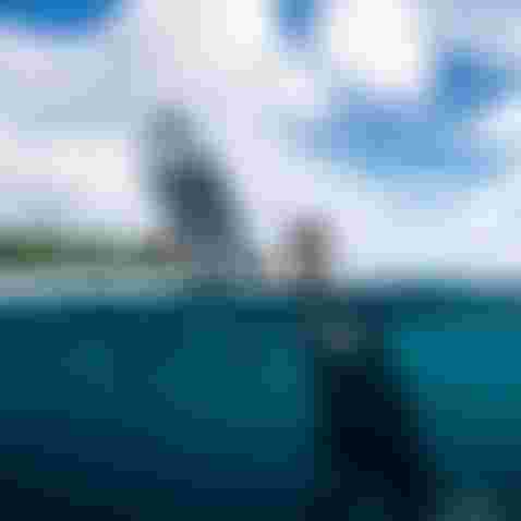 MatahiDrollet_Duotone