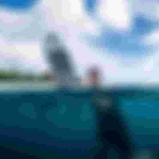 MatahiDrollet_Duotone