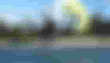 Duotone Foiling & Electrics Parawing Foilig