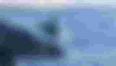 DTS-Duotone-Cosmic-SLS-VictorFernandez-Maui-2026-MM251967