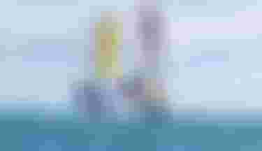 Duotone_Windsurf_BJ4A7519