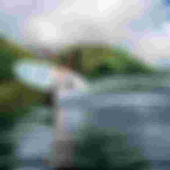 MatahiDrollet_Duotone