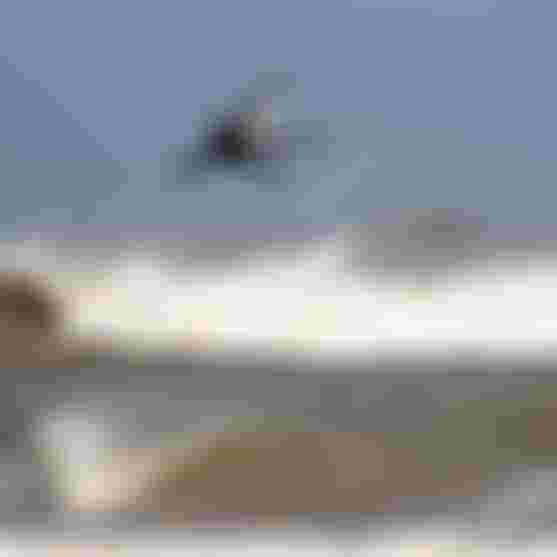 WesleyBrito_byJeanLouisDeHeeckeren