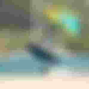ManuelaJungo_SkyStyleSLS26_UnitSLSConceptBlue26_Sardinia_Duotone_by-ChiaraSocin_DSC05745