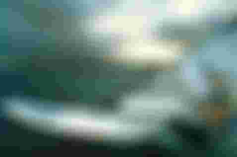 csm_Duotone_Windsurfing_Klaus_Walther_3