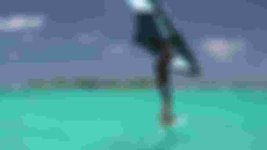 duotone