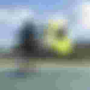 DTF-Duotone-Stash-Midfish-JefferySpencer-2025-TobyBromwich-0484