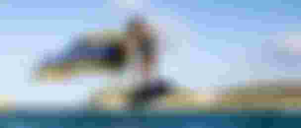 DTF-Duotone-SlickD-LAB-SkyStyleSLS-ChiaraSocin-2024-TobyBromwich-9598