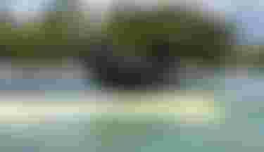DTE-Duotone-MidfishAir-CruiseAssist-MoChauvin-Guadeloupe-2027-TobyBromwich-3144