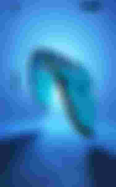 Duotone Evo D/LAB kiteboarding kite in turquoise and purple against a blue background with "Beyond Imagination" text