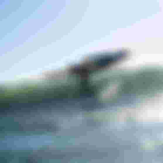 TomAuber_byJeanLouisDeHeeckeren