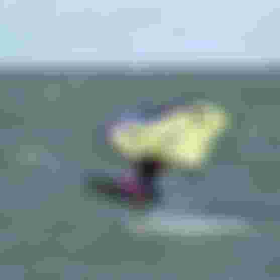 KalleDinant_DuotoneYoungBlood