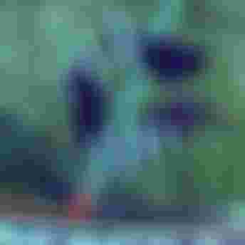 duotone_windsurf_SS24_WarrantyRegistration