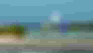 Duotone-Kiteboarding-RebelSLS-Cruising-TobyBromwich-3912