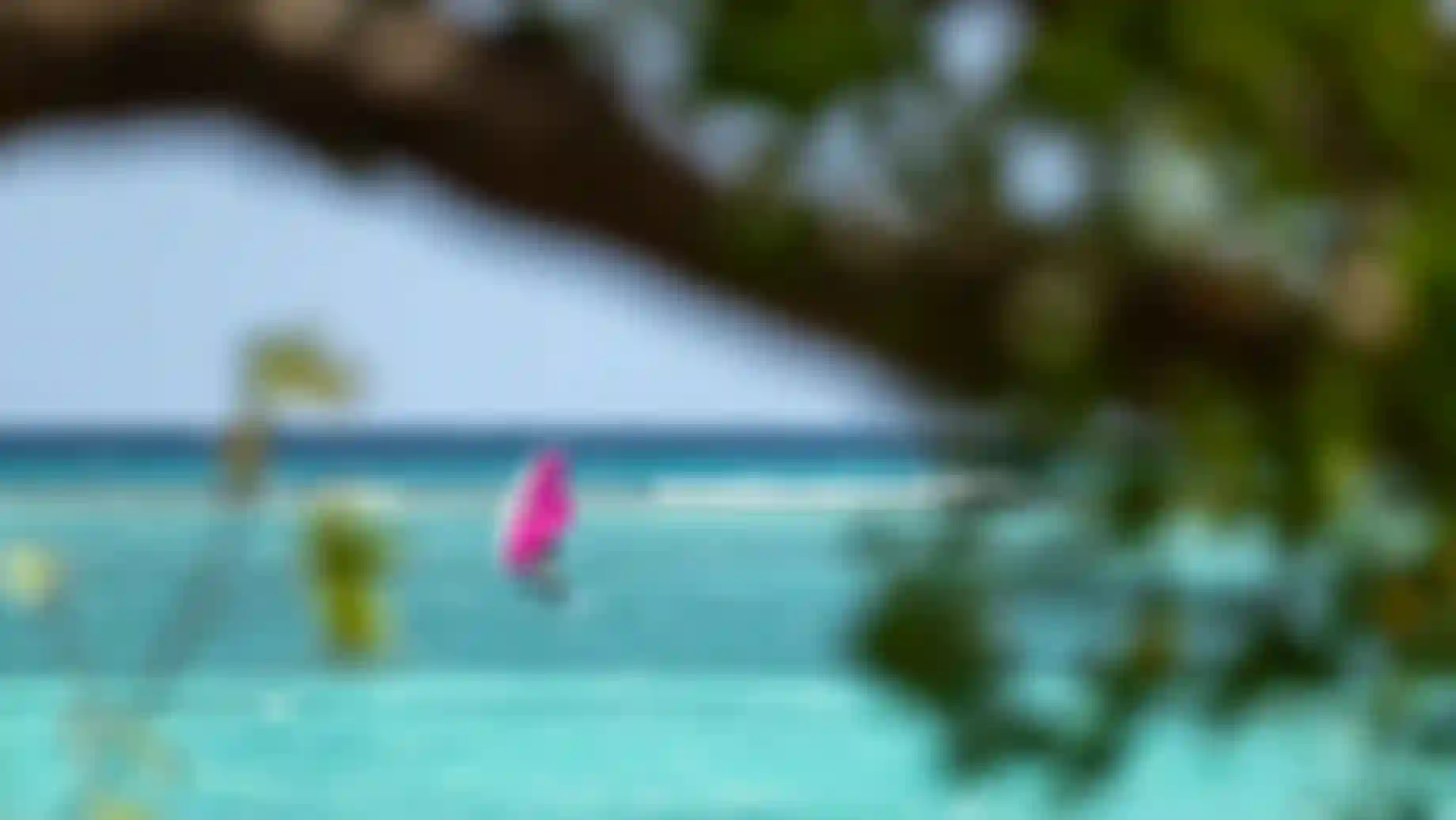 FinnSpencer_UnitSLS25_SkyStyleSLS25_Guadeloupe_DuotoneDTX-Duotone-UnitSLS-FinnSpencer-Guadeloupe-2025-TobyBromwich-8984