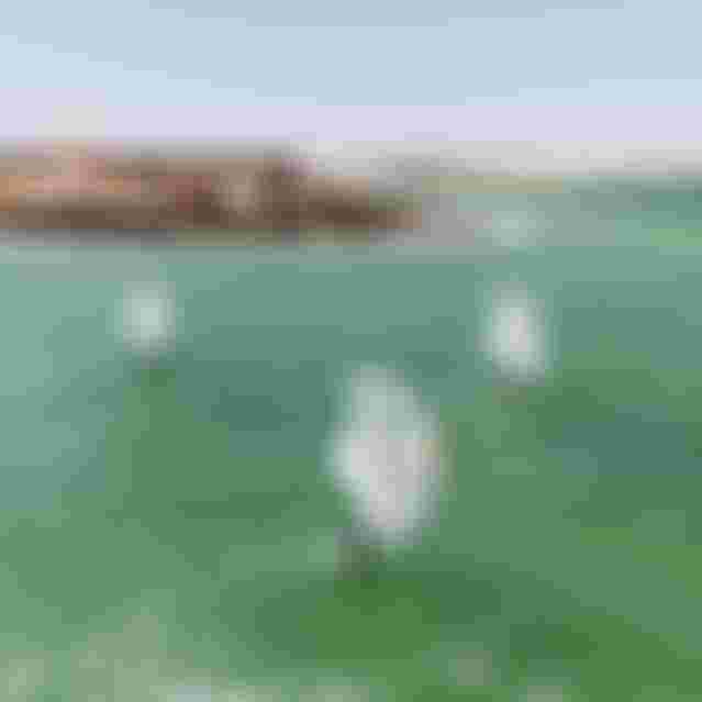 Team Duotone on SkyStyleSLS26 and UnitSLSConceptBlueSS26 in Dakhla