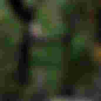 FinnSpencer_byTobyBromwich