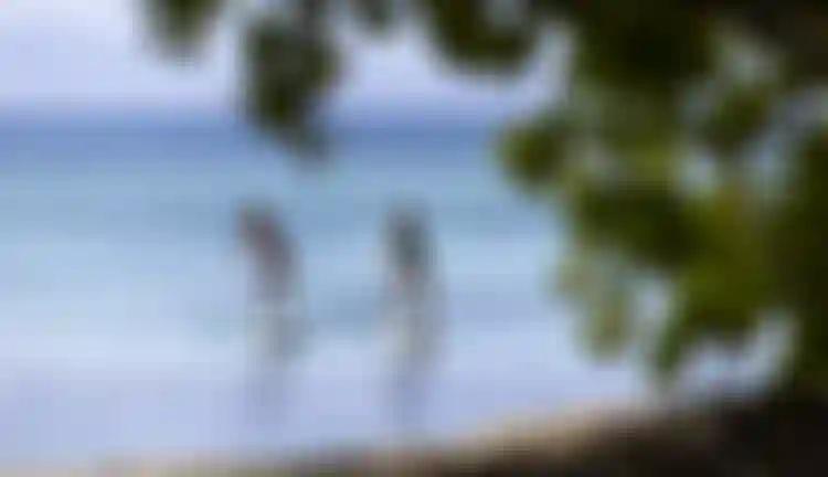 DTS-Duotone-iSUP-Group-Guadeloupe-2026@TobyBromwich-1416