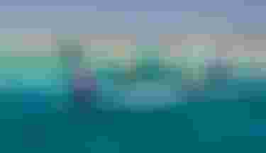 Duotone-Kiteboarding-Crusing-allkites-Egypt-2026-TobyBromwich-7056