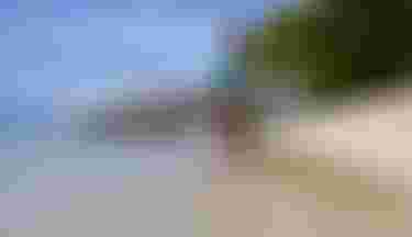 Duotone SUP Paddle and Raven AIR SLS with Lisa Wermeister