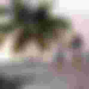 DTF-Duotone-Apparel-ChiaraSocin-StefanSpiessberger-2024-