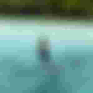 Duotone-Electric-MidFishAir-EdgarUlrich-2027-Venezuela-TobyBromwich-2035