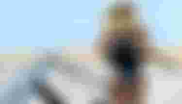 PaulaNovotna_Midfish26_Harness_Duotone_DTE_Egypt_by_Toby_Bromwich_0426