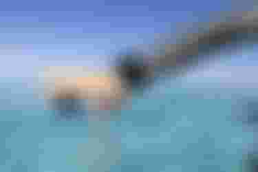 JeffreySpencer_WatchRingRemote_Duotone_DTE_Tahiti_by_Ben_Thouard_Zahl_50089