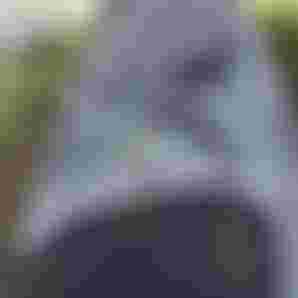 SkybridDLAB27_LS_Detail_Maui_Duotone_by-TobyBromwich-4985